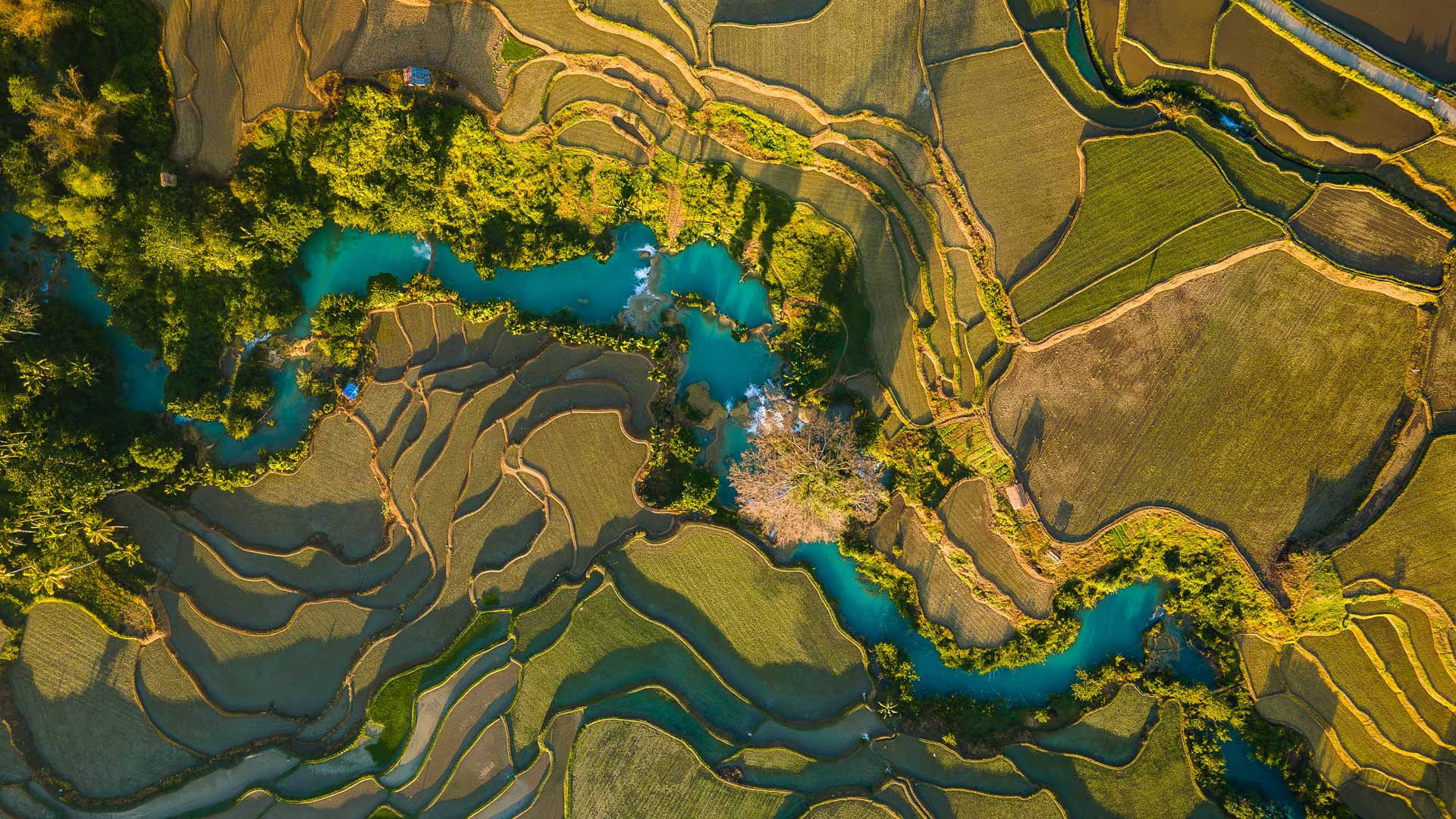 Stewart Investors Annual Review 2023