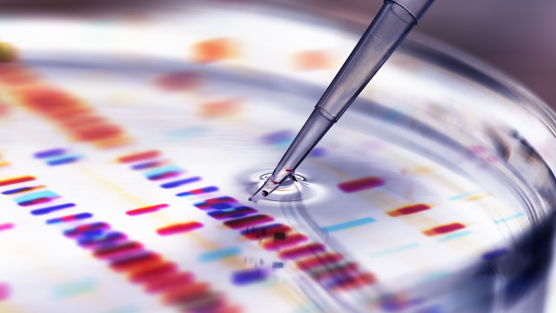 Access to Generics – improving outcomes for people and investors