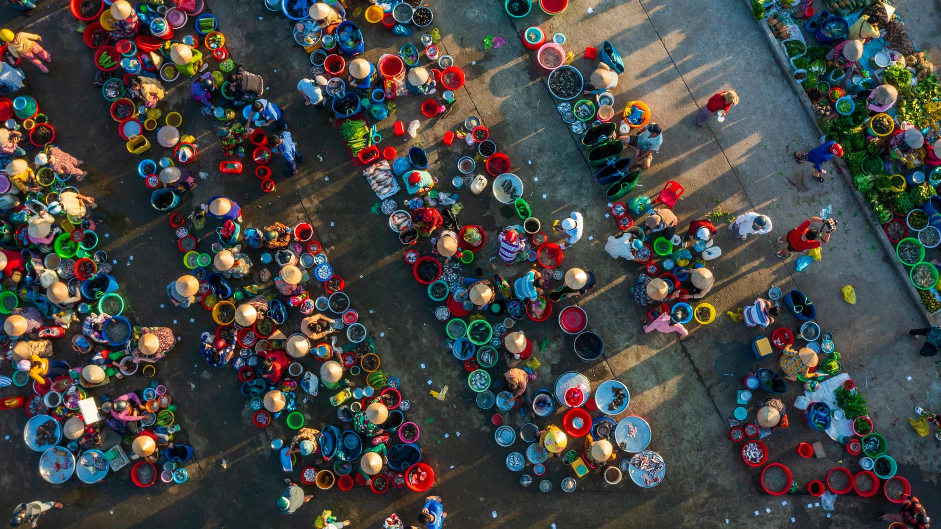 Stewart Investors Annual Review 2024