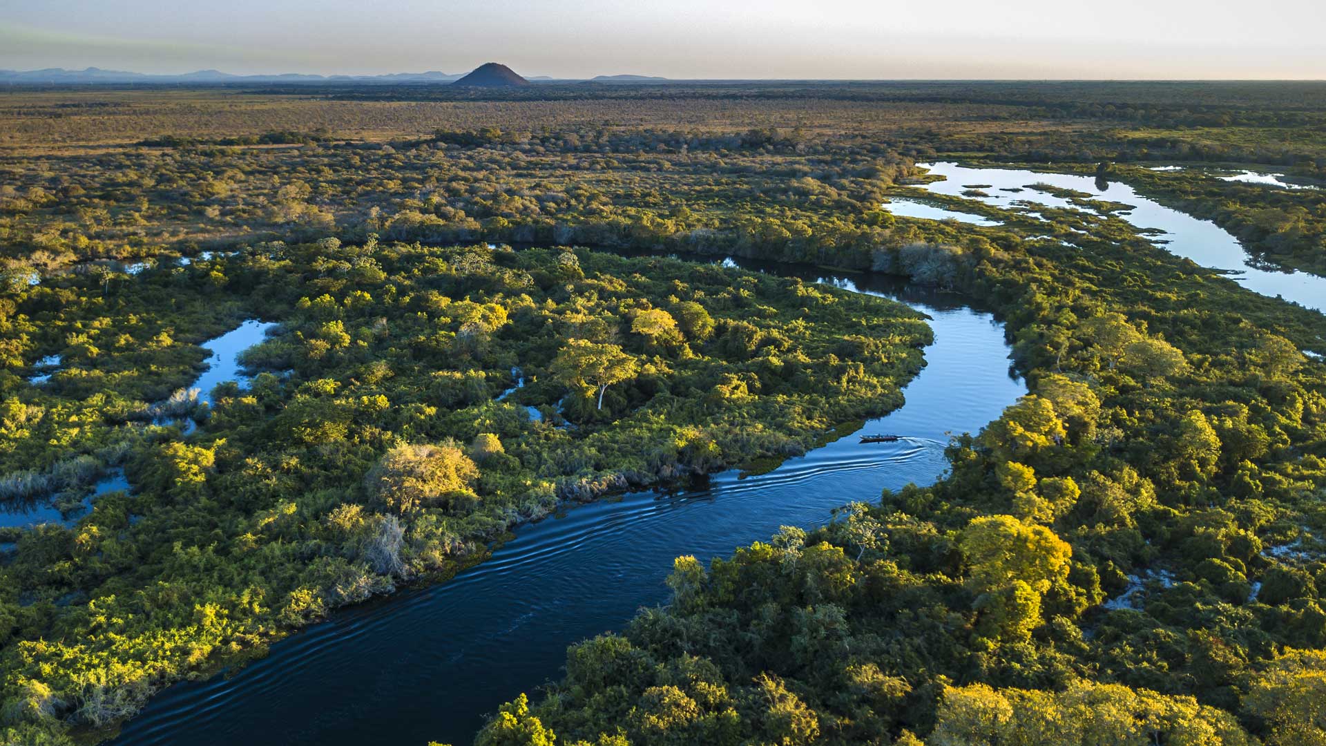 Biodiversity and our approach to it