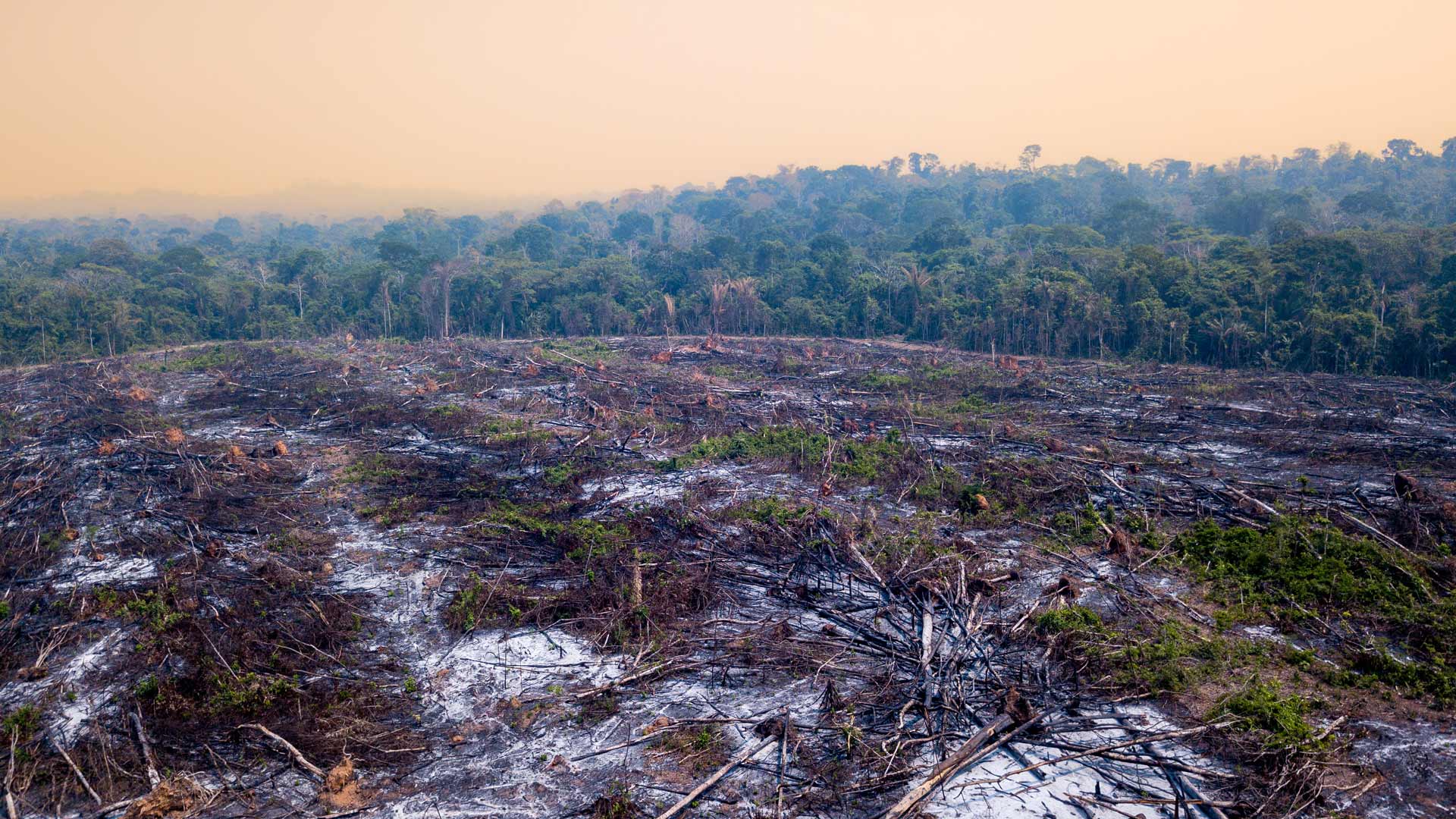 Biodiversity and the importance of stewardship