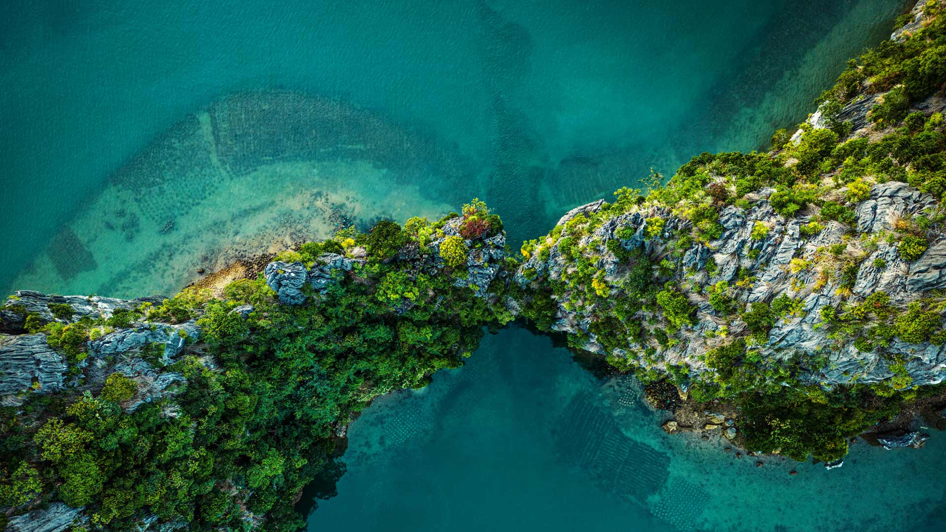 Image for: Stewart Investors Worldwide Sustainability Fund - May 2024