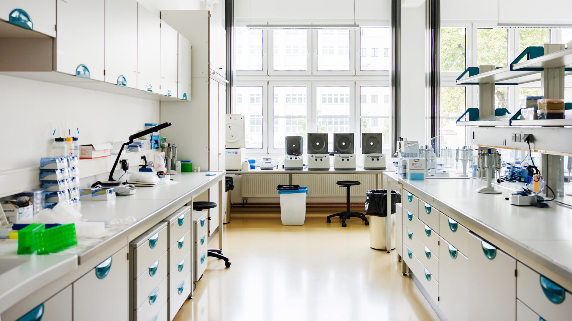 Investing in healthcare: understanding practices and disclosures on animal testing