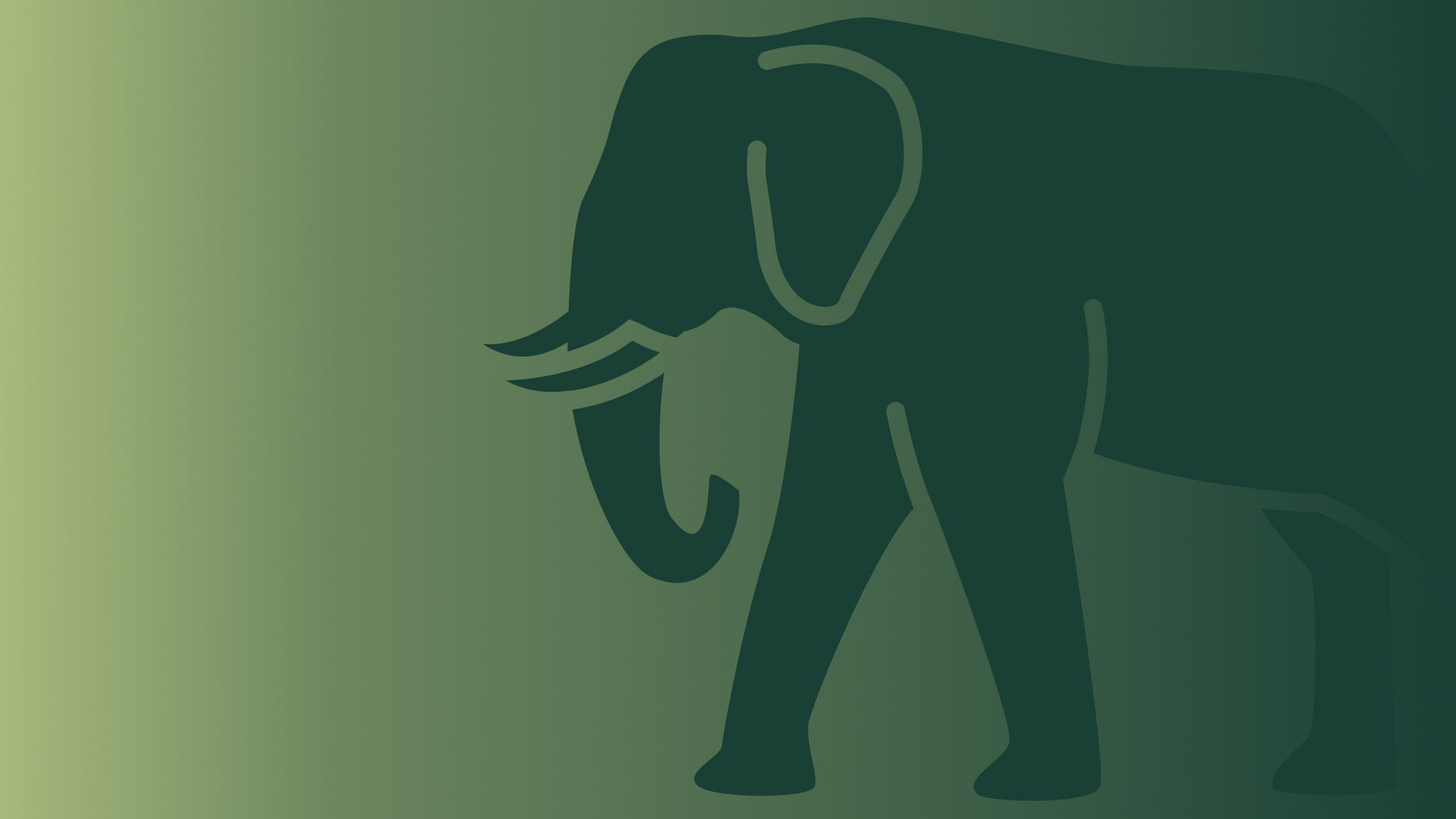 Transition of investment management responsibilities