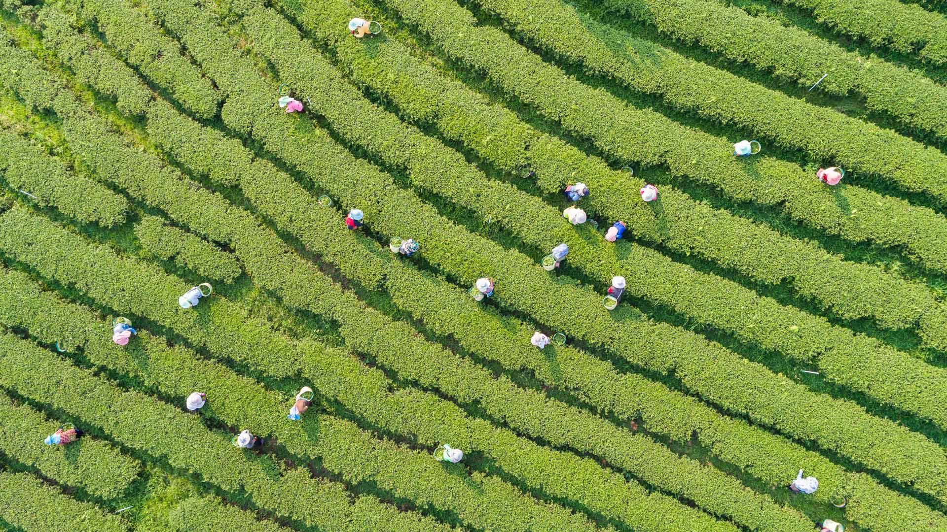 ‘Green’ Bookkeeping Shows Real Business Costs