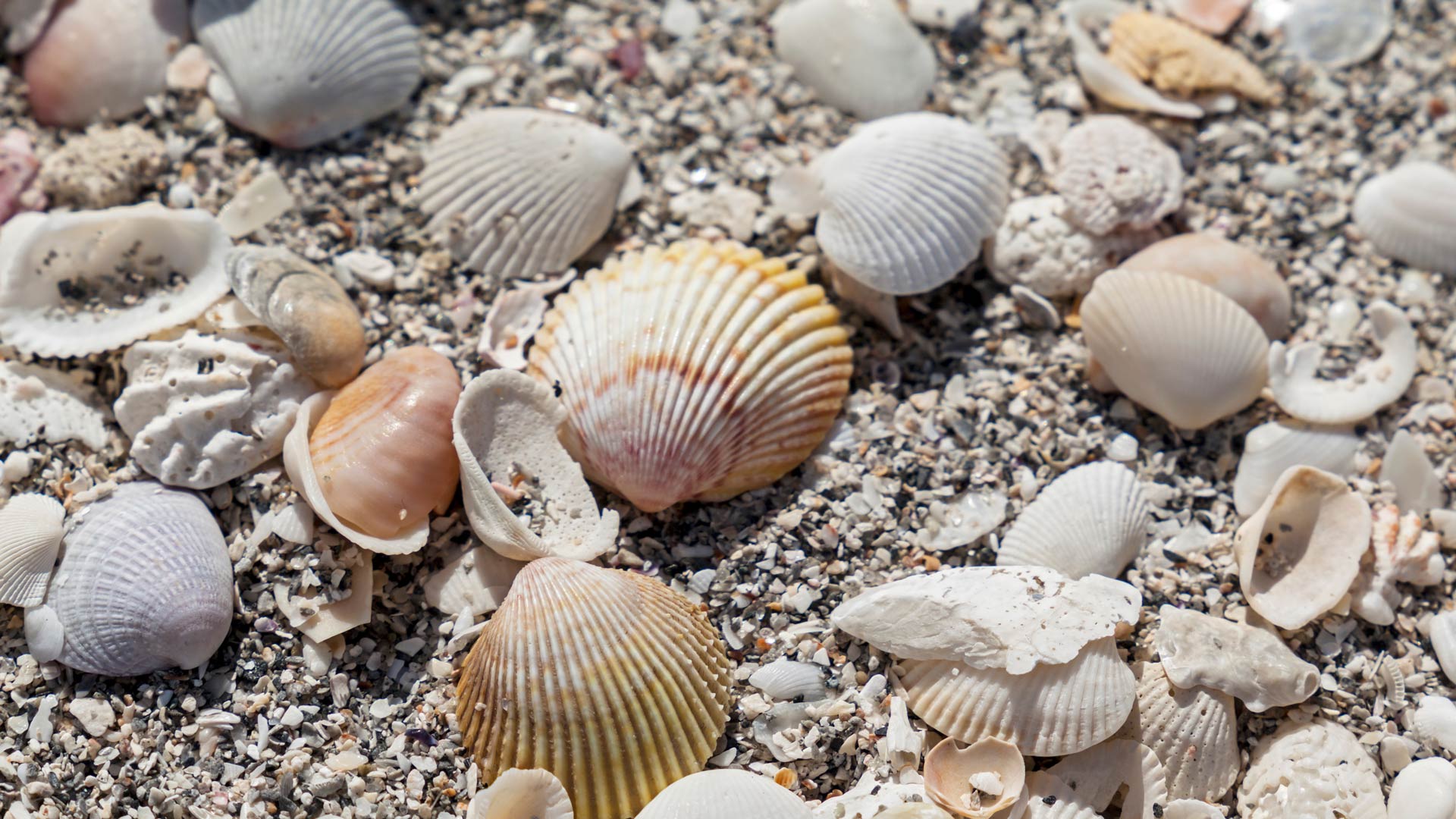 How we select companies