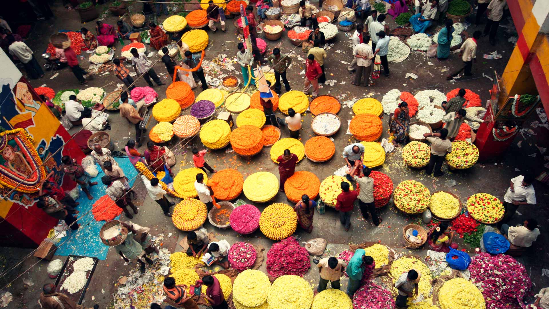 Loyalty shares will improve long-term stewardship goals