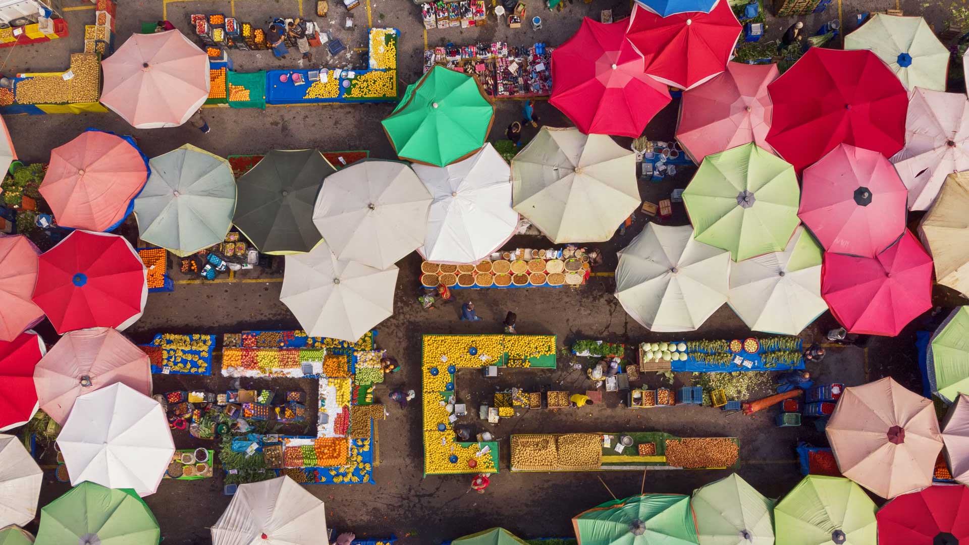 Research Tender Overview