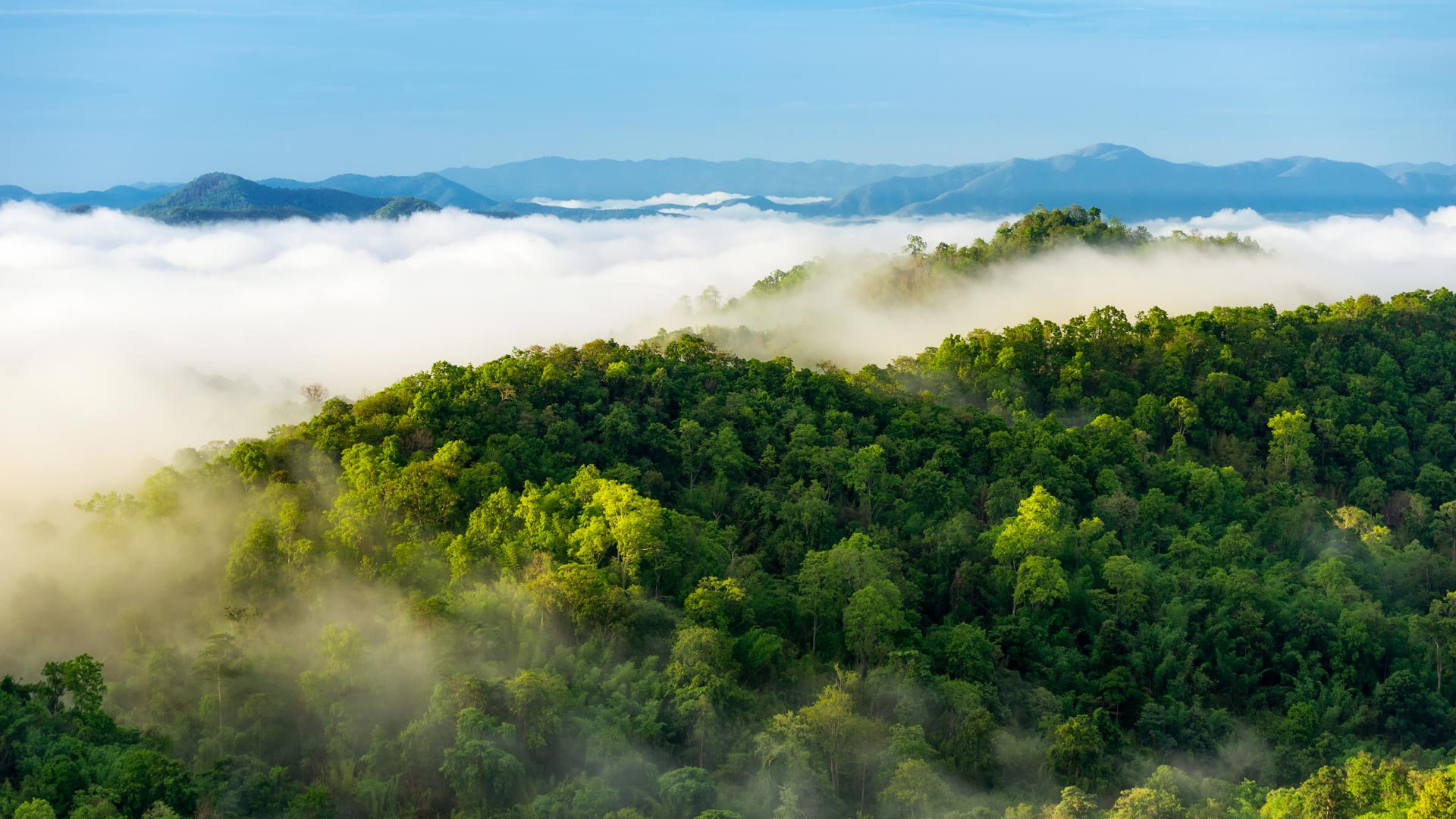 RSMR Better Business panel discussion on responsible funds