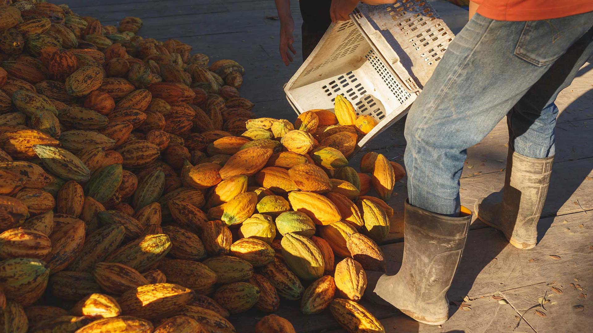 Investment and sourcing through smallholder supply chains