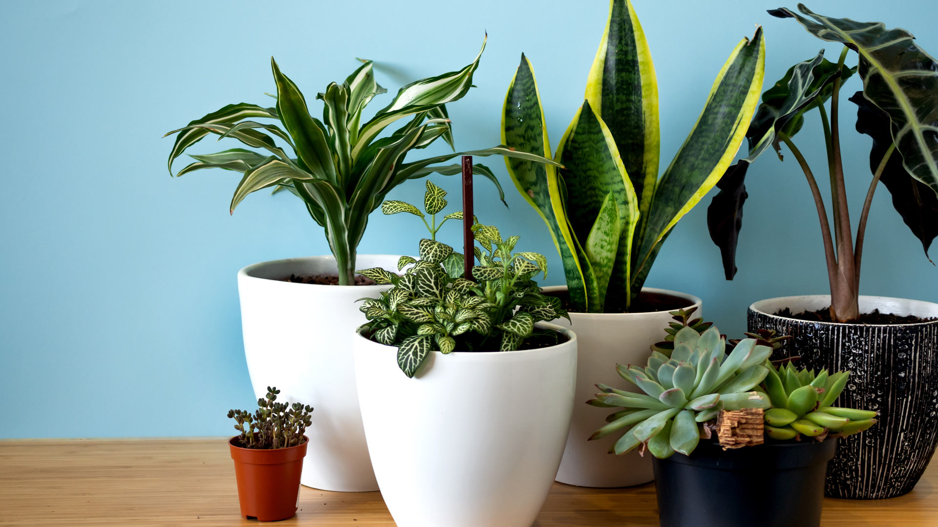 Why stewardship matters