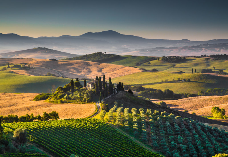 Image for: Innovation, Italian Style