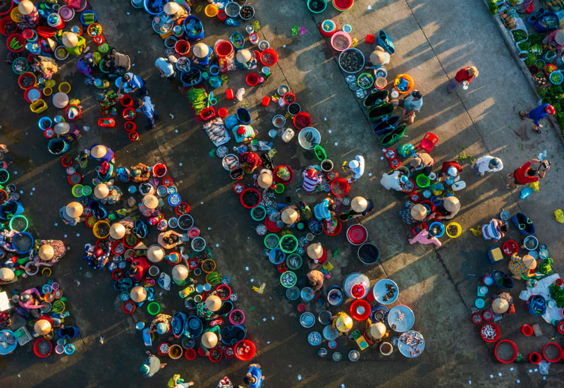 Image for: Stewart Investors Annual Review 2024