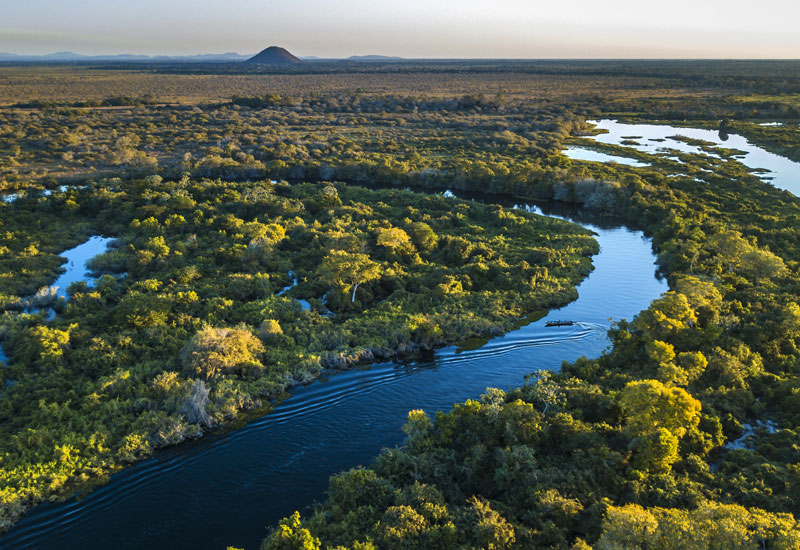 Image for: Biodiversity and our approach to it