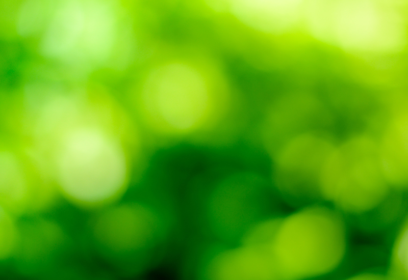 Image for: Towards Sustainability Quality Standard label