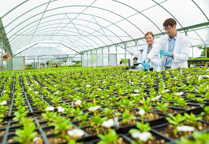 Image for: The magic of microbes 