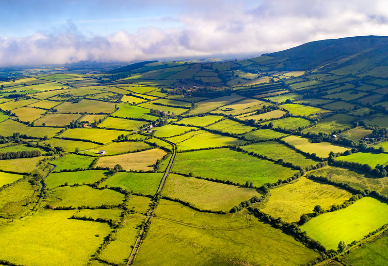 Image for: Our thoughts on the FCA’s proposed Sustainable Disclosure Requirements