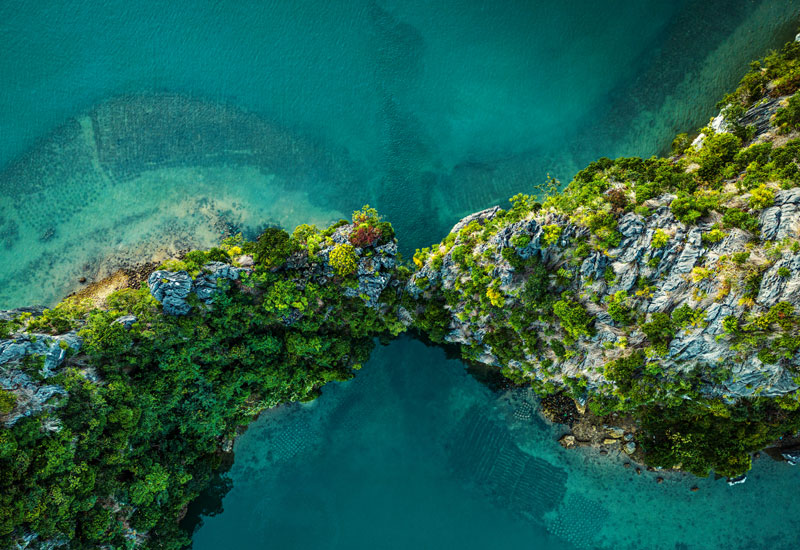 Image for: Worldwide All Cap Strategy Update - May 2024