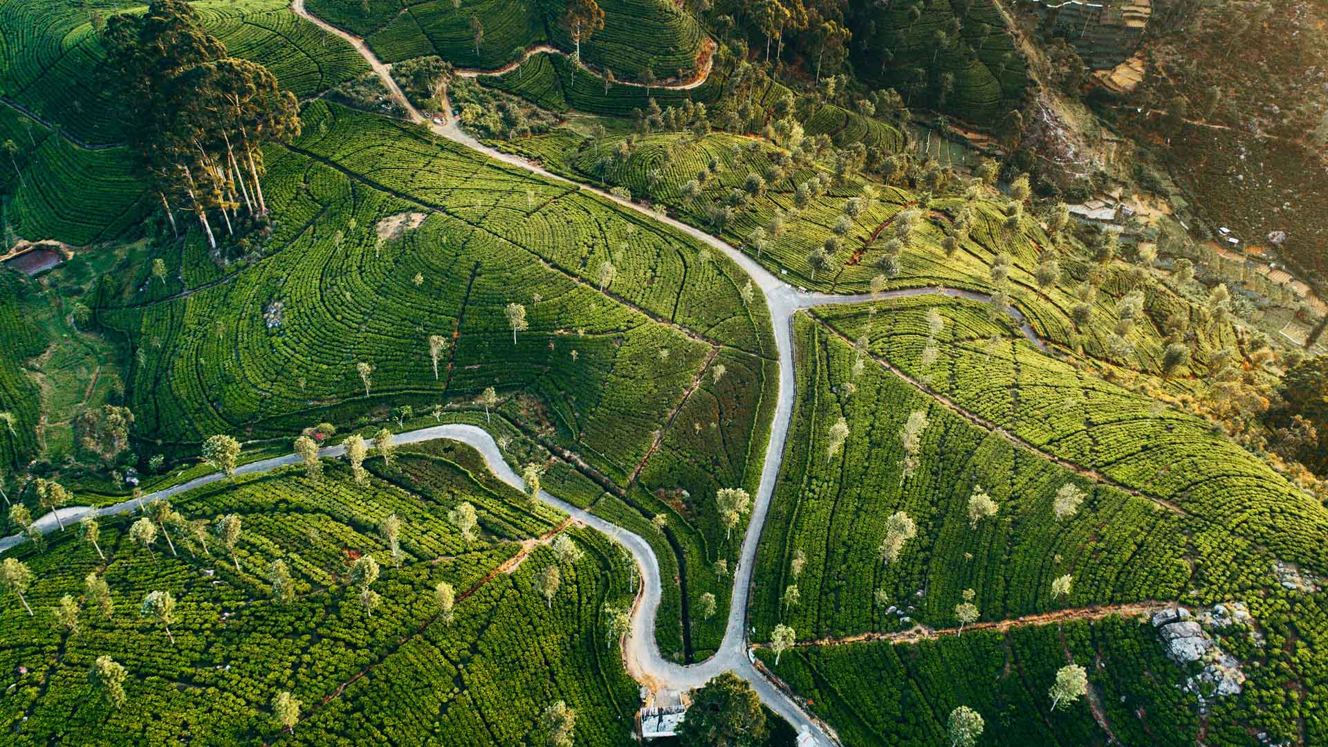 Long-term equity investors in high-quality companies