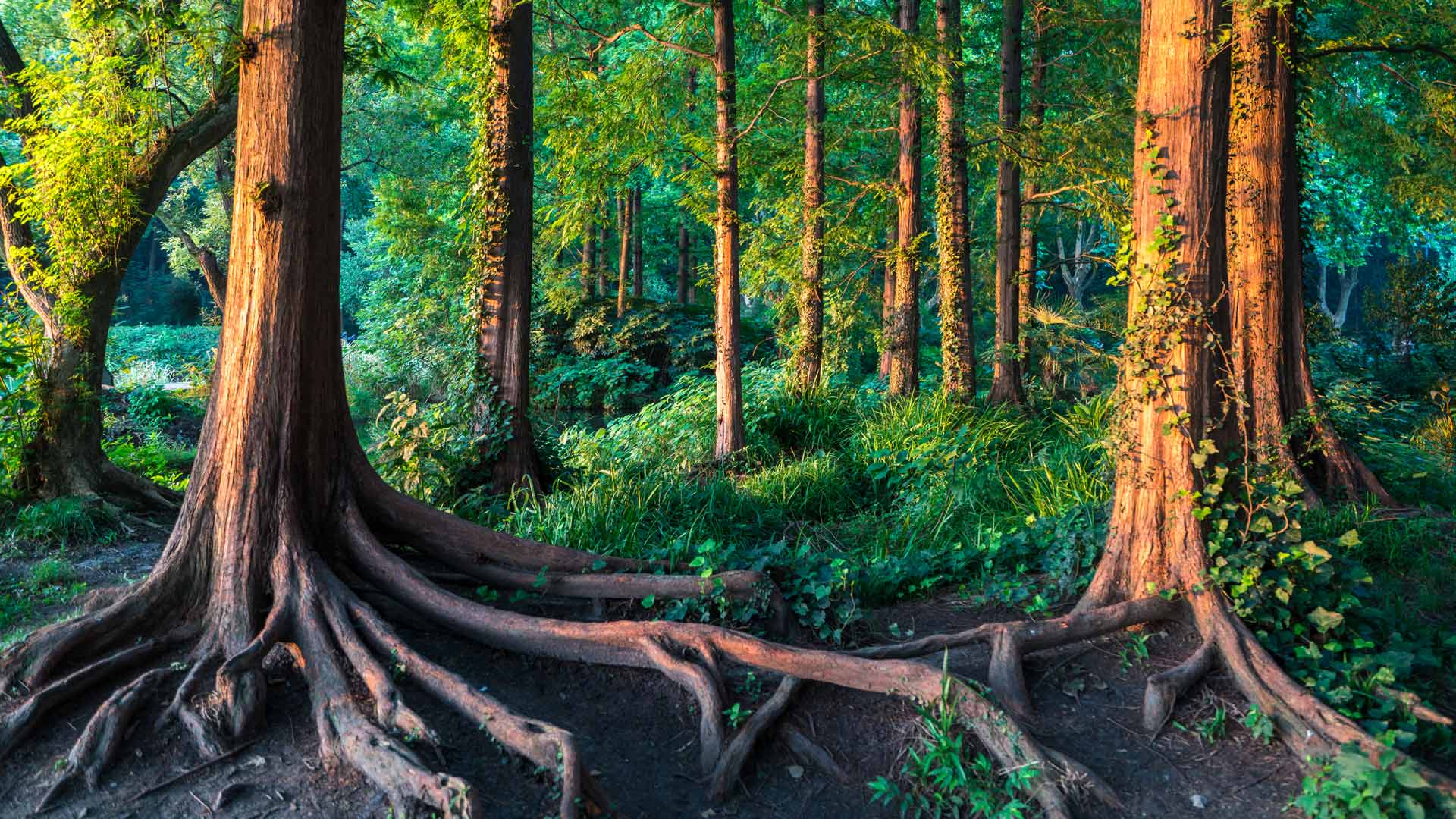 Partnerships and industry initiatives&nbsp;