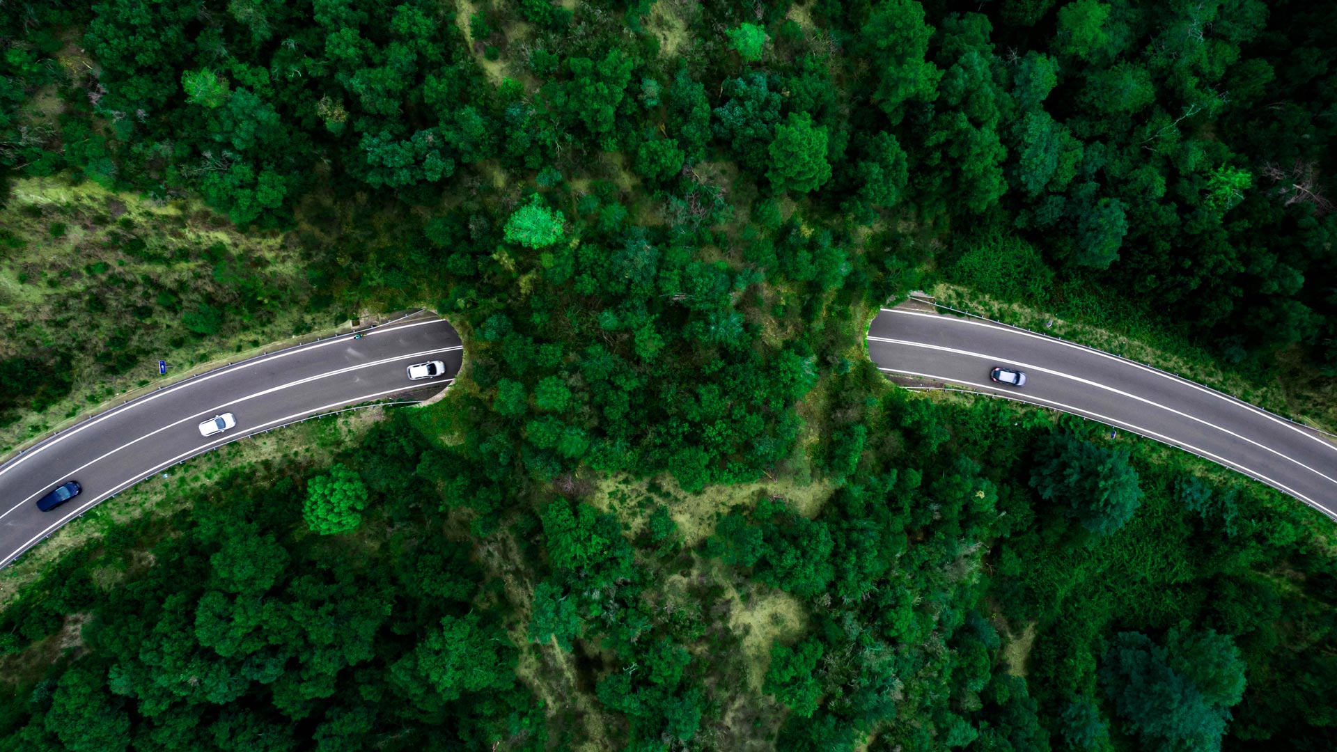 Investing with Stewart Investors