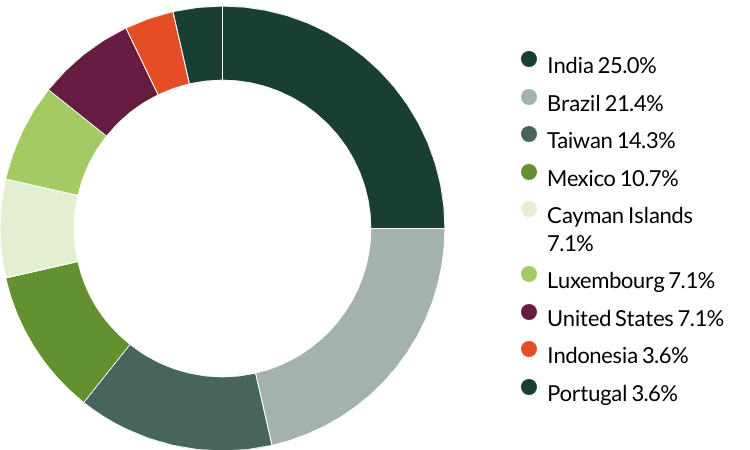 Global Emerging Markets (ex China) All Cap proxy voting Q2 2025 country