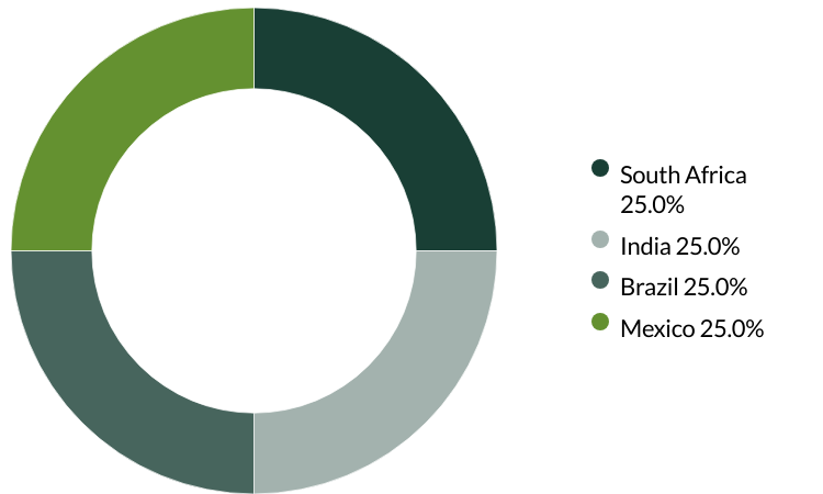 Global Emerging Markets (ex China) All Cap proxy voting Q4 2024 country