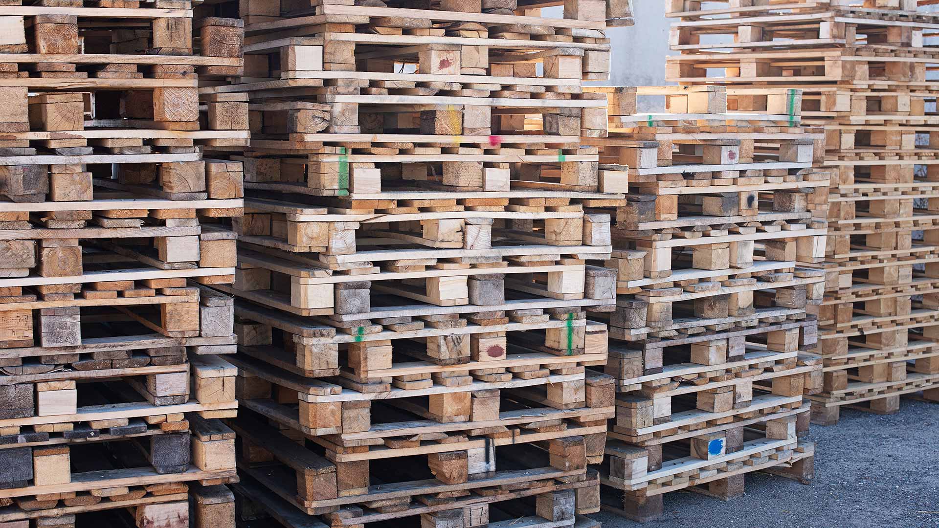 The Circular Economy